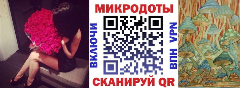 где можно купить наркотик  Зея  Псилоцибиновые грибы Psilocybe 